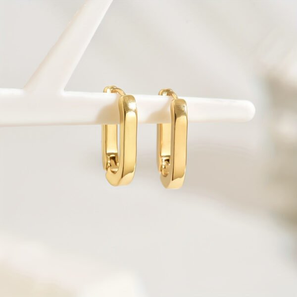 f9f7fe5a-2718-42d6-8b27-cbf37074e0aa_1200x1200.jpeg A Pair of Inspired Design Three-dimensional Geometric Hoop Earrings
